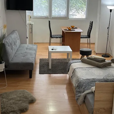 мини студио рози