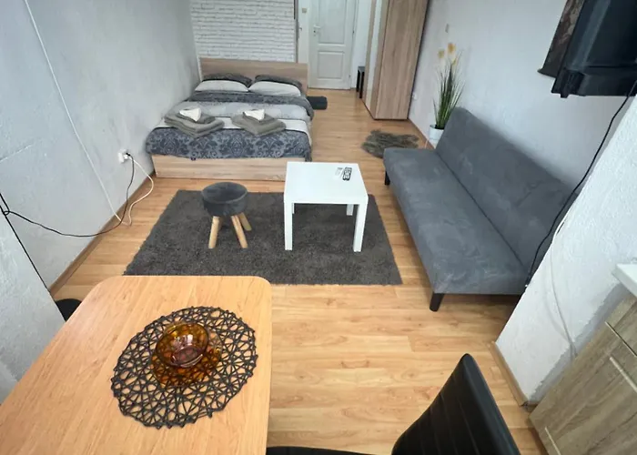 мини студио рози