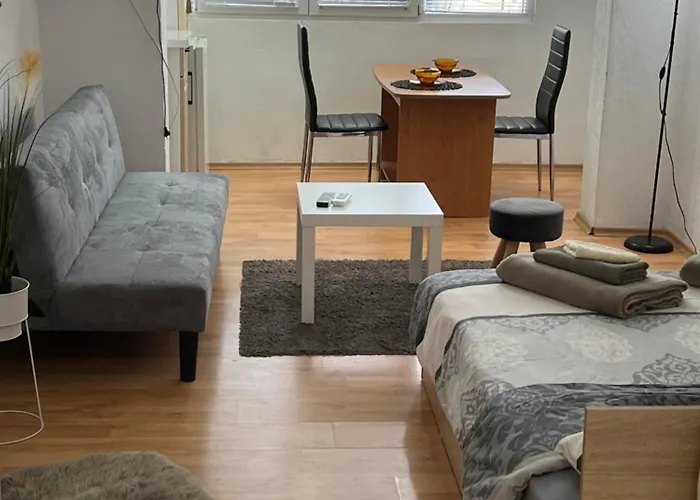 мини студио рози